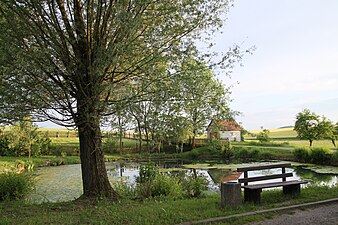 Dorfteich in Aubitz