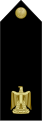 תמונה ממוזערת לגרסה מ־22:49, 26 ביוני 2011