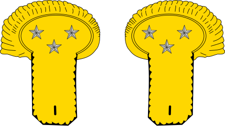 ไฟล์:Epaulette_general_corps_armee_armee_Napoléonienne.svg