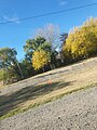 La Estación vista desde la Ruta Nacional 151