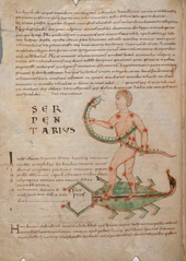 Constellation of Serpentius on Scorpio