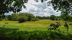 Megalithic grave field in the FFH area Idstedtweger Geestlandschaft