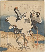 Five cranes on a spit of sand. Surimono by Kubo Shunman, probably 1816