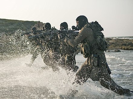 Commando d'élite de Shayetet 13, 2011