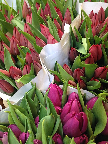 File:Flower Market Amsterdam.jpg