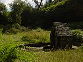 Fotografía de una fuente de piedra en medio de la vegetación.