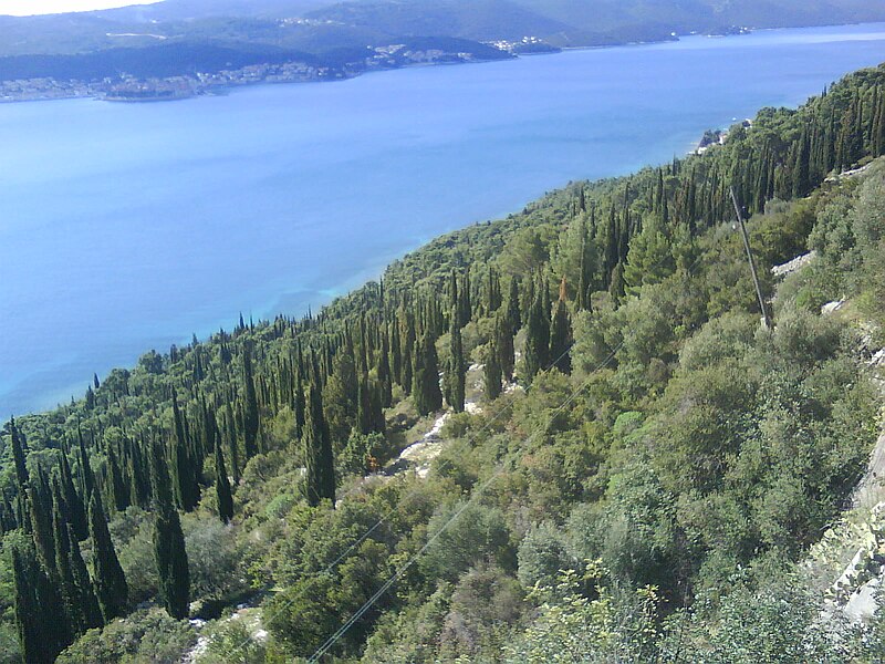 File:Forest above Orebić05941.JPG