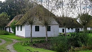 <span class="mw-page-title-main">Maribo Open-Air Museum</span> Museum on Lolland, Denmark