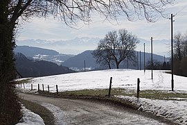 Frühlingstag mit Restschnee auf dem Weg zwischen Uetliberg und Felsenegg