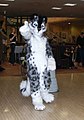 TaniDaReal posing in a fursuit of her character