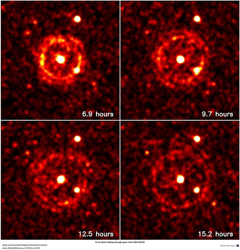 newtons rings - Keyword Search - Science Photo Library