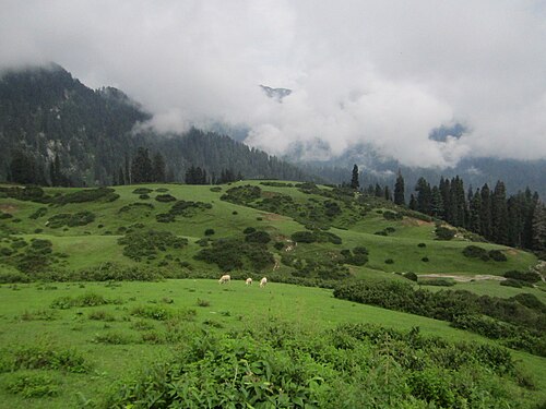 Gabina Jabba, Swat Valley