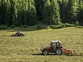 * Nomination Hay harvest: a tractor (Steyr 975) turns hay. Galtür, Tyrol, Austria --Basotxerri 17:52, 31 July 2017 (UTC) * Promotion Good quality -- Spurzem 19:38, 31 July 2017 (UTC)