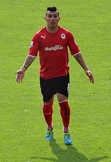 List of Cardiff City F.C. players (25–99 appearances)