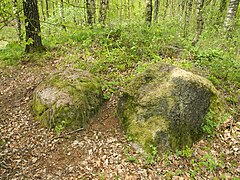 ND CLP 00074 Large stone grave in Fuhrenkamp