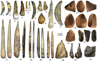Châtelperronian stone tools (above) and ivory tools and jewellery (below)