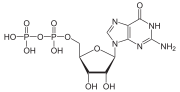 Guanosine diphosphate Guanosindiphosphat protoniert.svg