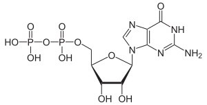 Estructura del difosfato de guanosina