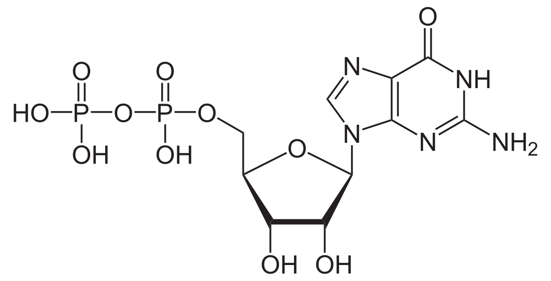 Guanozina pirofosfato