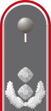 Dienstgradabzeichen auf der Schulterklappe der Jacke des Dienstanzuges für Heeresuniformträger der Heeresflugabwehrtruppe.