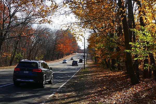 Cars on Hammond Pond Parkway, which divides the Hammond Pond Reservation in two