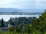 Bodenseeufer (Gmk. Allensbach, Hegne, Reichenau)