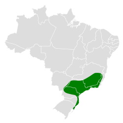 Distribución geográfica del titirijí de anteojos.