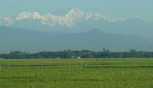 Himalayan peaks seen from fertile plains in Panchagarh