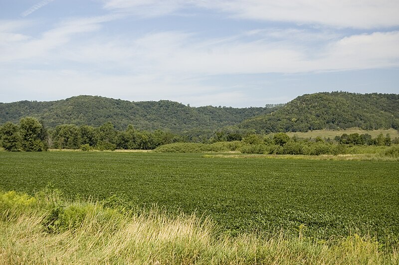 File:Historic Bluff Country Scenic Byway - Bluffs of the Root River Valley - NARA - 7719121.jpg