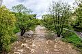 Hochwasser an der Dreisam am 17. April 2016, hier in der Innenstadt