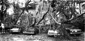 Damage after Hurricane Kate in Tallahassee Hurricane Kate damaged cars Tallahassee, Florida.jpg