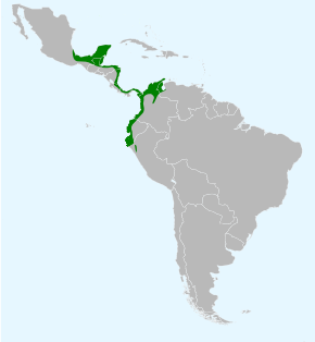 Descrierea imaginii Icterus mesomelas map.svg.