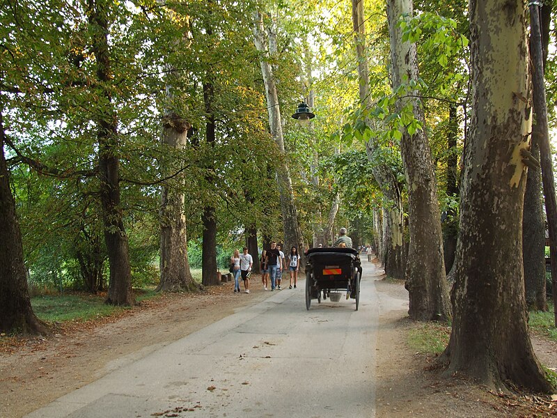 File:Ilidža - Velika aleja.JPG