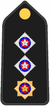 Insignia PM O3.PNG 