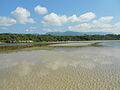 Thumbnail for Ilha Grande mangroves