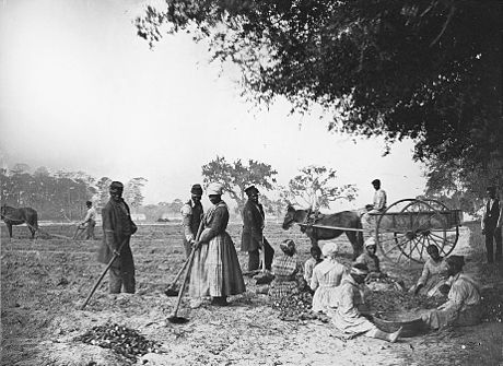 Рабство в сша. Работорговля 19 век США. Рабы на плантациях США 19 век. Рабовладельческие плантации США 19 век. Рабовладельчество в США В 19 веке.