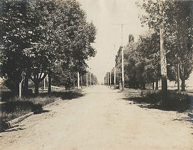 Jameson Avenue in 1899, looking north from just south of Springhurst Jameson GTR Crossing North.jpg