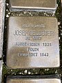 image=https://commons.wikimedia.org/wiki/File:Josef_Gelobter.jpg