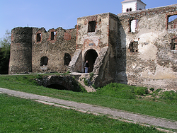 Zřícenina hradu Stari grad v Kaptolu