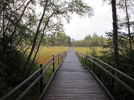 Some shorter trails have been made accessible by wheelchair. Kuhankuono in Kurjenrahka National Park