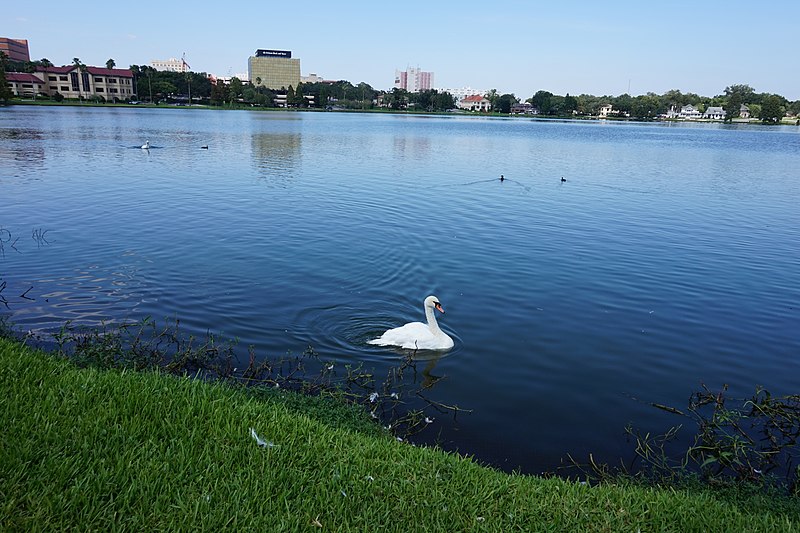 File:Lake Morton.jpg