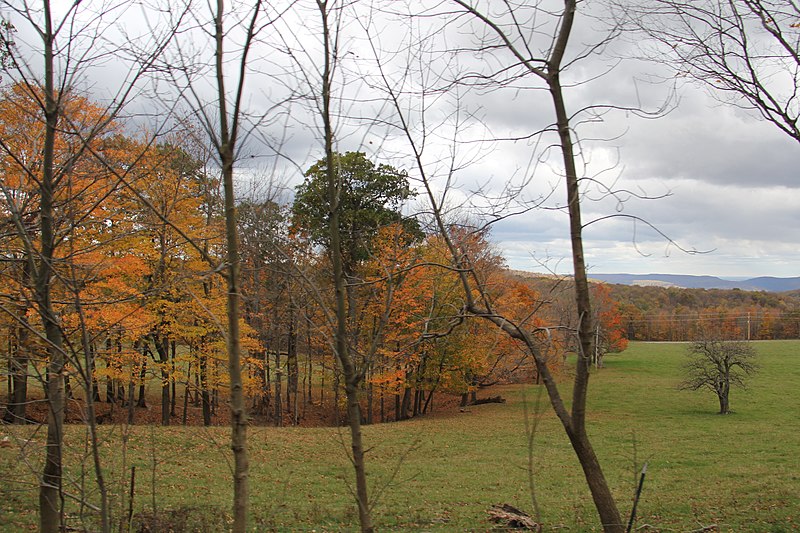 File:Laurel Mountain Summit - panoramio (7).jpg