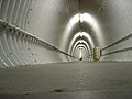 Le tunnel passant sous le Grand Axe du campus, erronément surnommé « l'œsophage ». Il évoque plutôt la trachée.