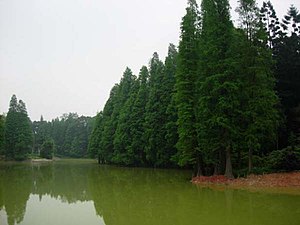 Jardín Botánico del Sur de China