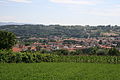 Panorama of Levane