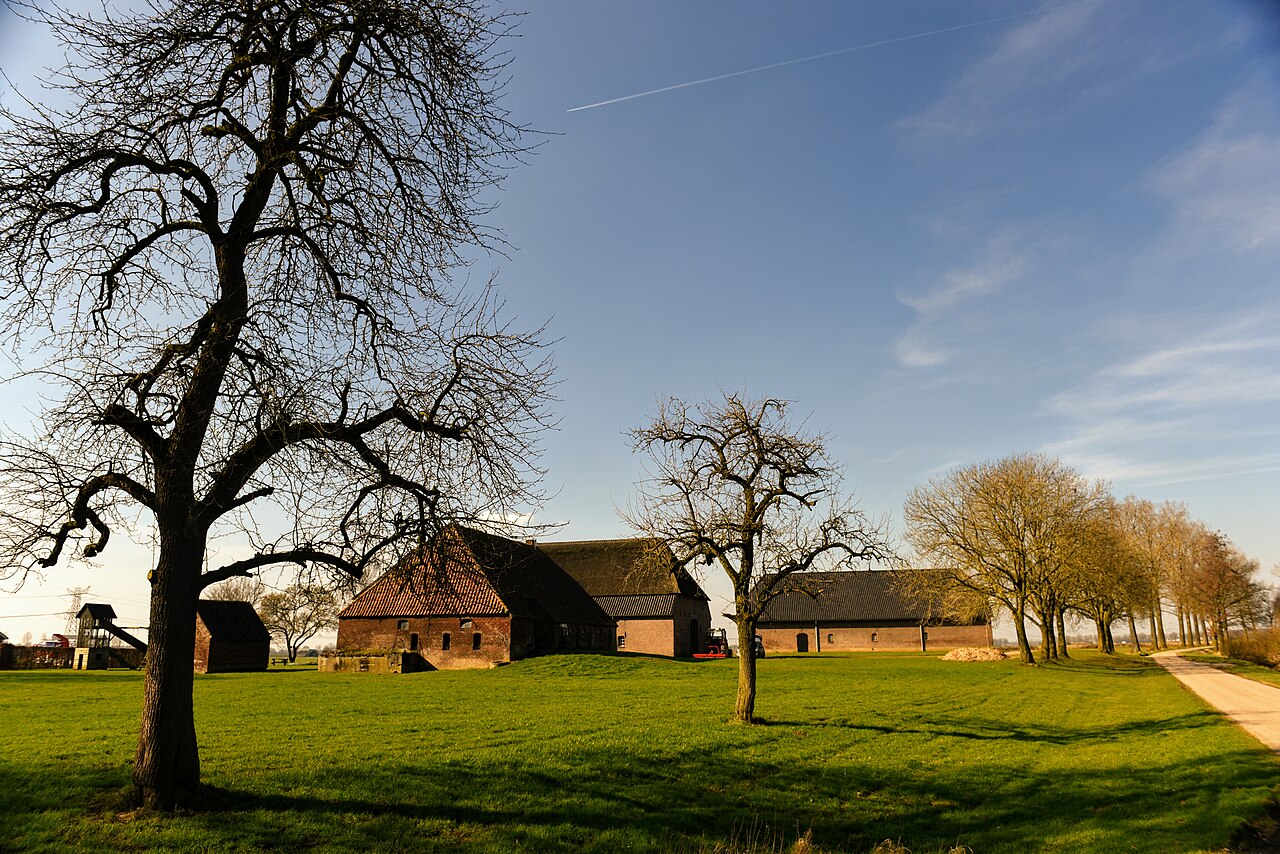 Limburgs landschap-1.jpg