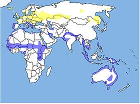 Phạm vi phân bố: xanh lục=mùa đông, vàng=khu vực sinh sản