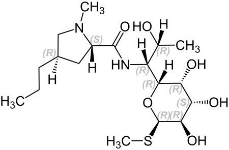 Lincomycin