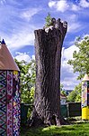 Linden tree at the school in Walding