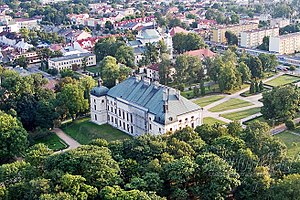 Lubartów лот ptaka.jpg